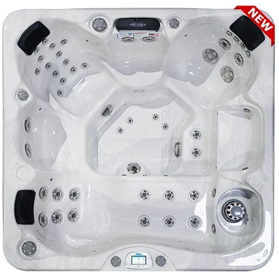 Avalon-X EC-849LX hot tubs for sale in Spokane